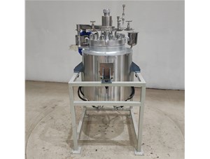 29L高溫高壓不銹鋼油浴電加熱電動(dòng)升降反應釜已完工發(fā)往安慶