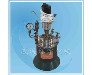 實(shí)驗室反應釜襯PTFE