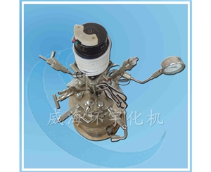 臺式實(shí)驗釜