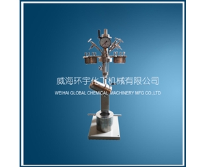 mini快開(kāi)升降反應釜