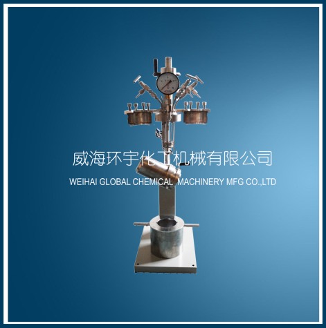 mini快開(kāi)升降反應釜