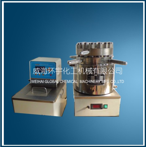 實(shí)驗室高壓反應容器配高溫循環(huán)器